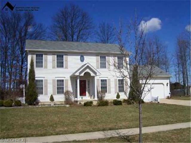 311 Hendrix Blvd, Lagrange, OH 44050 photo 1