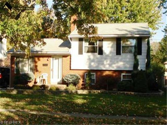729 Georgetown Ave, Elyria, OH 44035 photo 1