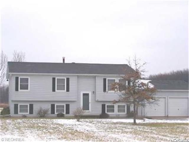 41248 Webster Rd, Lagrange, OH 44050 photo 1