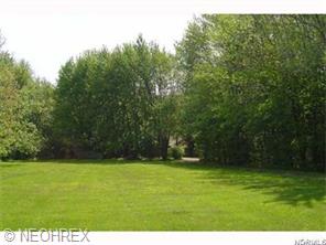 11237 Lagrange Rd, Elyria, OH 44035 photo 1
