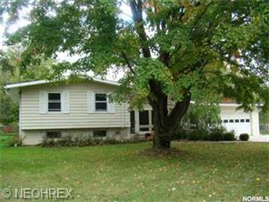 148 Thwing, Chardon, OH 44024 photo 1