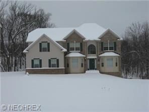 6700 Willow Tree Ln, Solon, OH 44139 photo 1