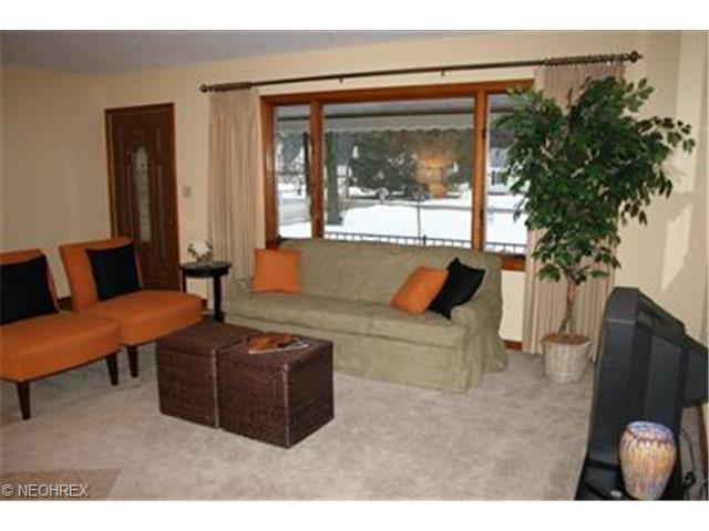 1017 N Pasadena Ave, Elyria, OH 44035 photo 1