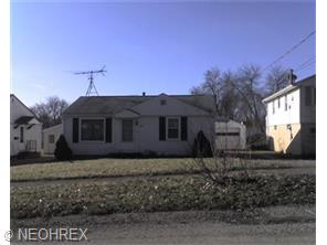 1409 Youll St, Niles, OH 44446 photo 2