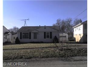 1409 Youll St, Niles, OH 44446 photo 1