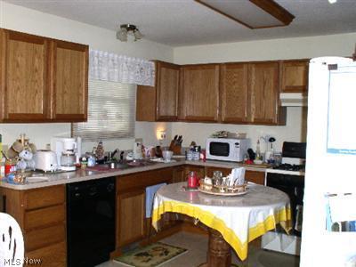 335 Pemberton Dr, Elyria, OH 44035 photo 5