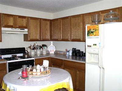 335 Pemberton Dr, Elyria, OH 44035 photo 4