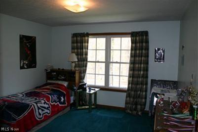 8306 Buffham, Lodi, OH 44254 photo 14