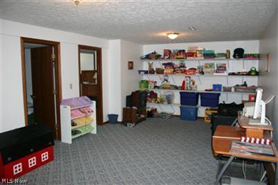 8306 Buffham, Lodi, OH 44254 photo 15
