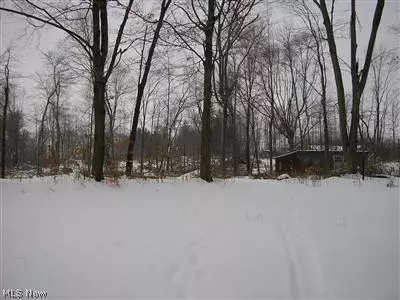 3807 Cook Rd, Rootstown, OH 44272 photo 13