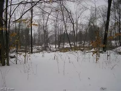 3807 Cook Rd, Rootstown, OH 44272 photo 14