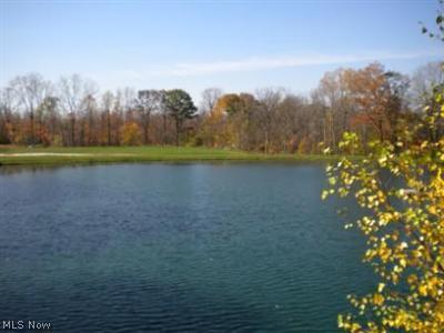 13342 Gar Hwy, Chardon, OH 44024 photo 5