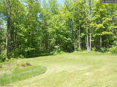 13342 Gar Hwy, Chardon, OH 44024 photo 19