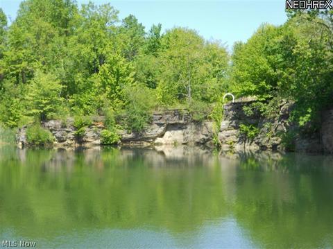 13342 Gar Hwy, Chardon, OH 44024 photo 21