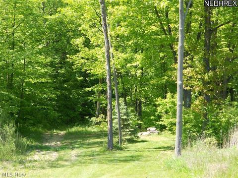 13342 Gar Hwy, Chardon, OH 44024 photo 18