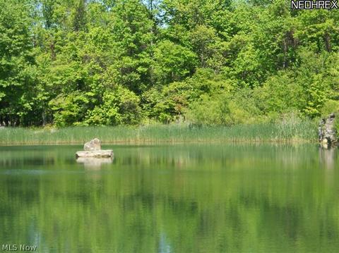 13342 Gar Hwy, Chardon, OH 44024 photo 23