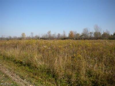 13342 Gar Hwy, Chardon, OH 44024 photo 9