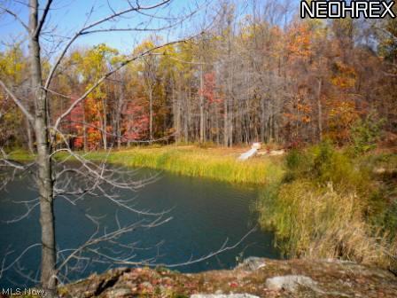 13342 Gar Hwy, Chardon, OH 44024 photo 4
