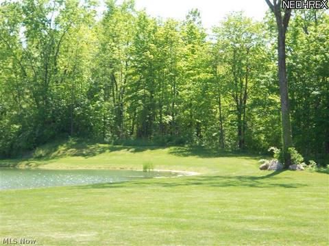 13342 Gar Hwy, Chardon, OH 44024 photo 20