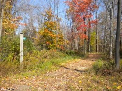 13342 Gar Hwy, Chardon, OH 44024 photo 10