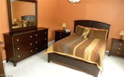 10300 Mulberry Rd, Chardon, OH 44024 photo 15