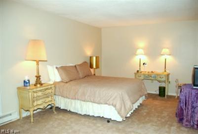 2385 Covington Rd #406, Akron, OH 44313 photo 12