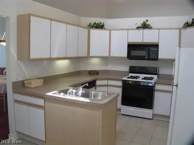 335 Devon Pond, Aurora, OH 44202 photo 3