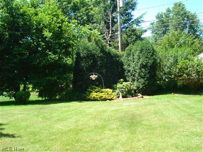 249 E Good, Wadsworth, OH 44281 photo 21