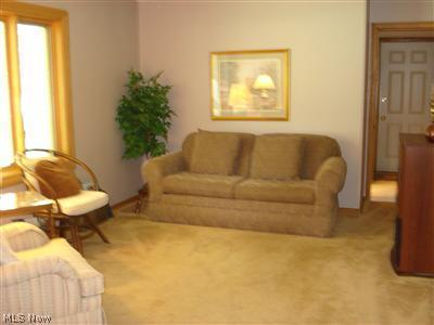 249 E Good, Wadsworth, OH 44281 photo 12