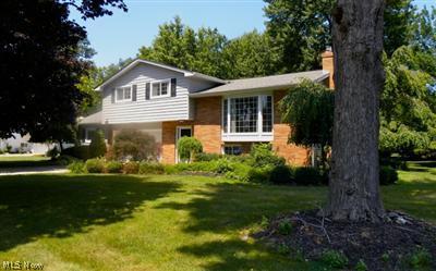 8079 Munson Rd, Mentor, OH 44060 photo 1