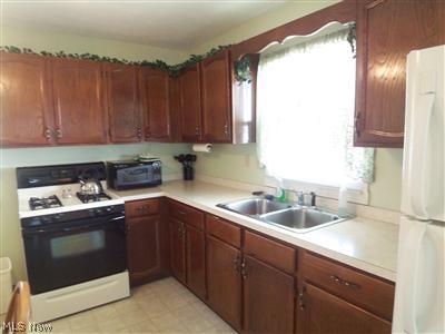 366 Pasadena Ave, Elyria, OH 44035 photo 6