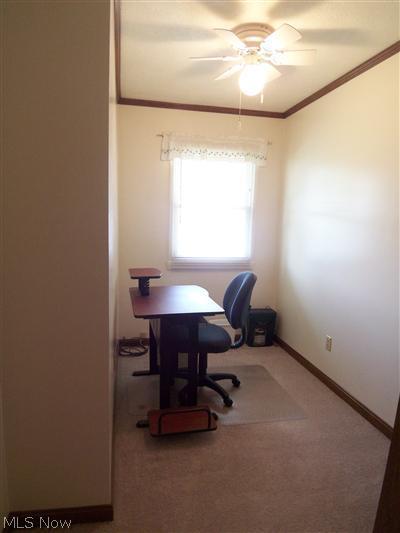 366 Pasadena Ave, Elyria, OH 44035 photo 18
