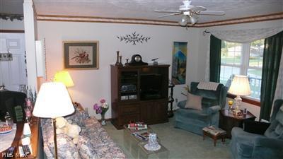 311 Stable Dr, Lagrange, OH 44050 photo 6