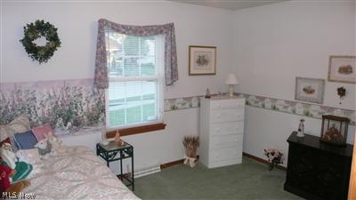 311 Stable Dr, Lagrange, OH 44050 photo 11