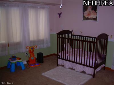 582 Geneva Ave, Struthers, OH 44471 photo 9