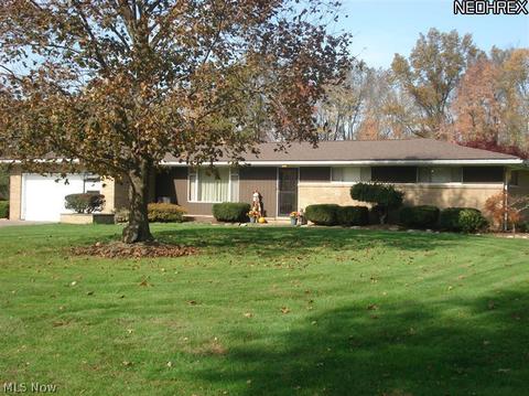 9529 Geneva Dr, Windham, OH 44288 photo 1