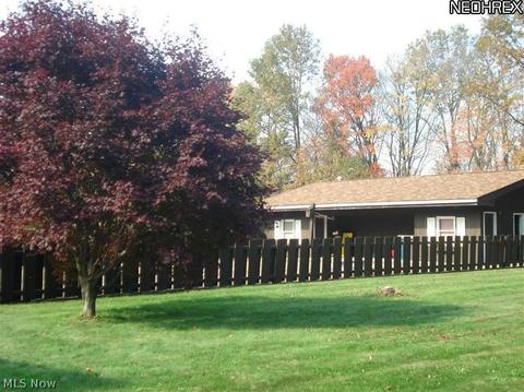 9529 Geneva Dr, Windham, OH 44288 photo 17