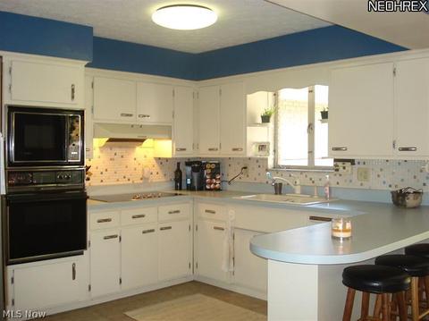 9529 Geneva Dr, Windham, OH 44288 photo 5