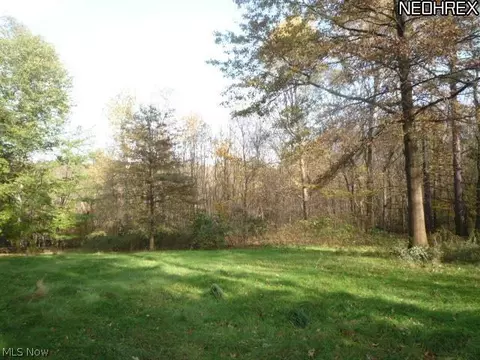 272 Hatch Rd, Wadsworth, OH 44281 photo 13