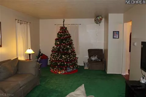 346 University Ave, Elyria, OH 44035 photo 15