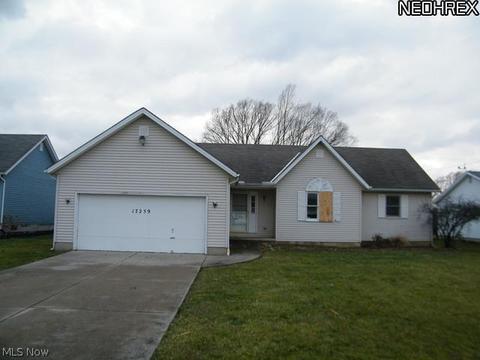 17259 Fairway Dr, Lagrange, OH 44050 photo 1