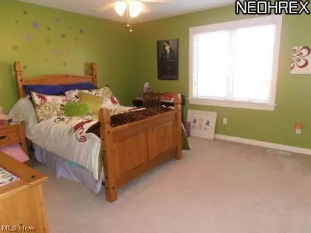 57 Oak Tree, Canfield, OH 44406 photo 16