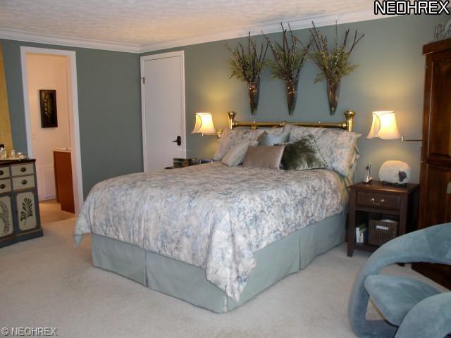 11620 Forestview Dr, Chardon, OH 44024 photo 6