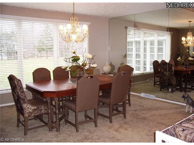 11620 Forestview Dr, Chardon, OH 44024 photo 1
