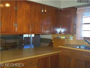 42700 Dellefield Rd, Elyria, OH 44035 photo 4