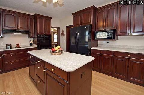 3976 Williams Ct, Avon, OH 44011 photo 10