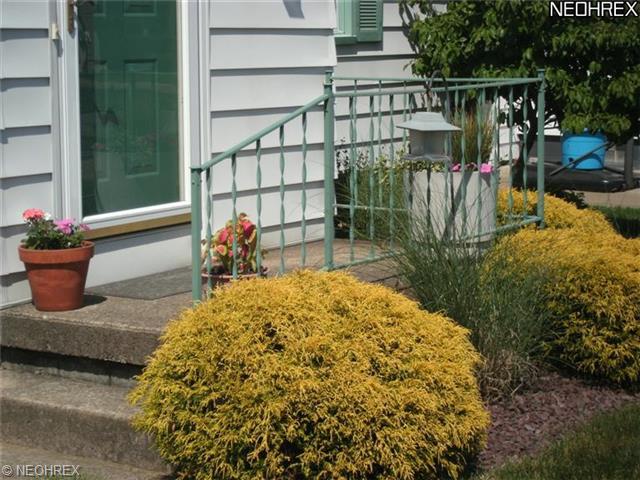 219 Creed St, Struthers, OH 44471 photo 1