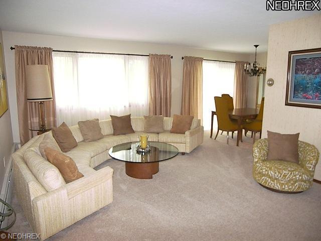 35755 Solon Rd, Solon, OH 44139 photo 6
