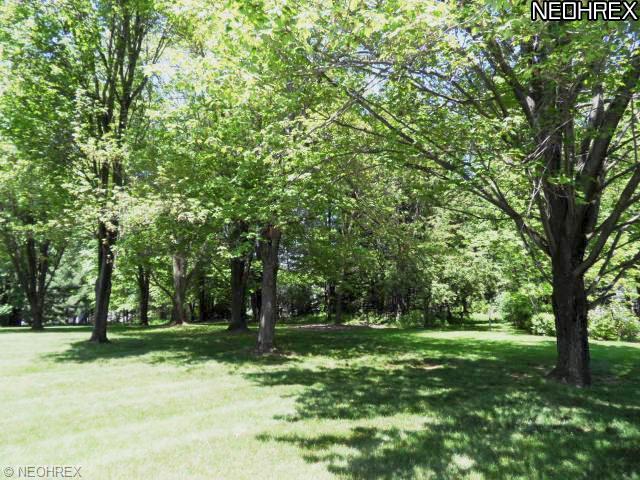 35755 Solon Rd, Solon, OH 44139 photo 19