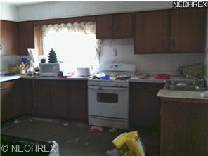 513 Dewitt St, Lorain, OH 44055 photo 2